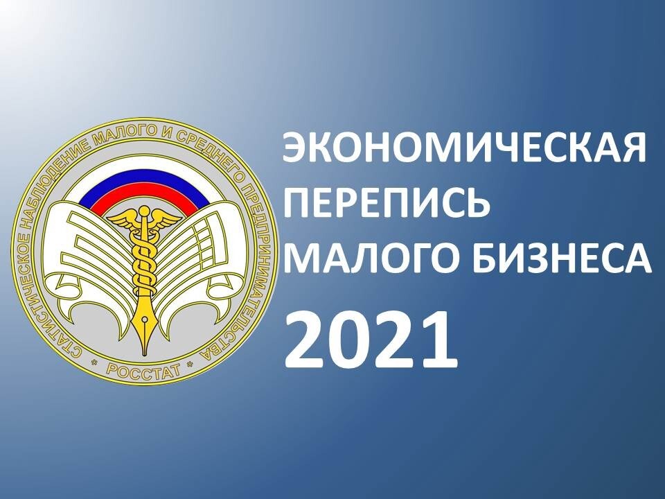 В первом полугодии 2021 года Росстат проводит экономическую перепись малого бизнеса